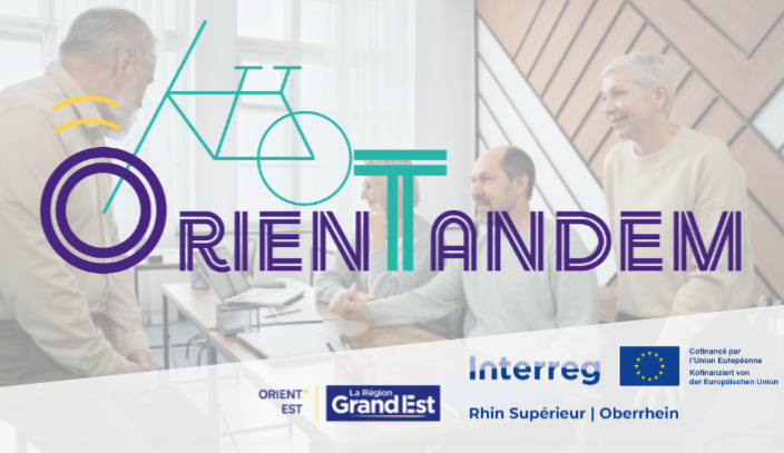 image reunion professeurs