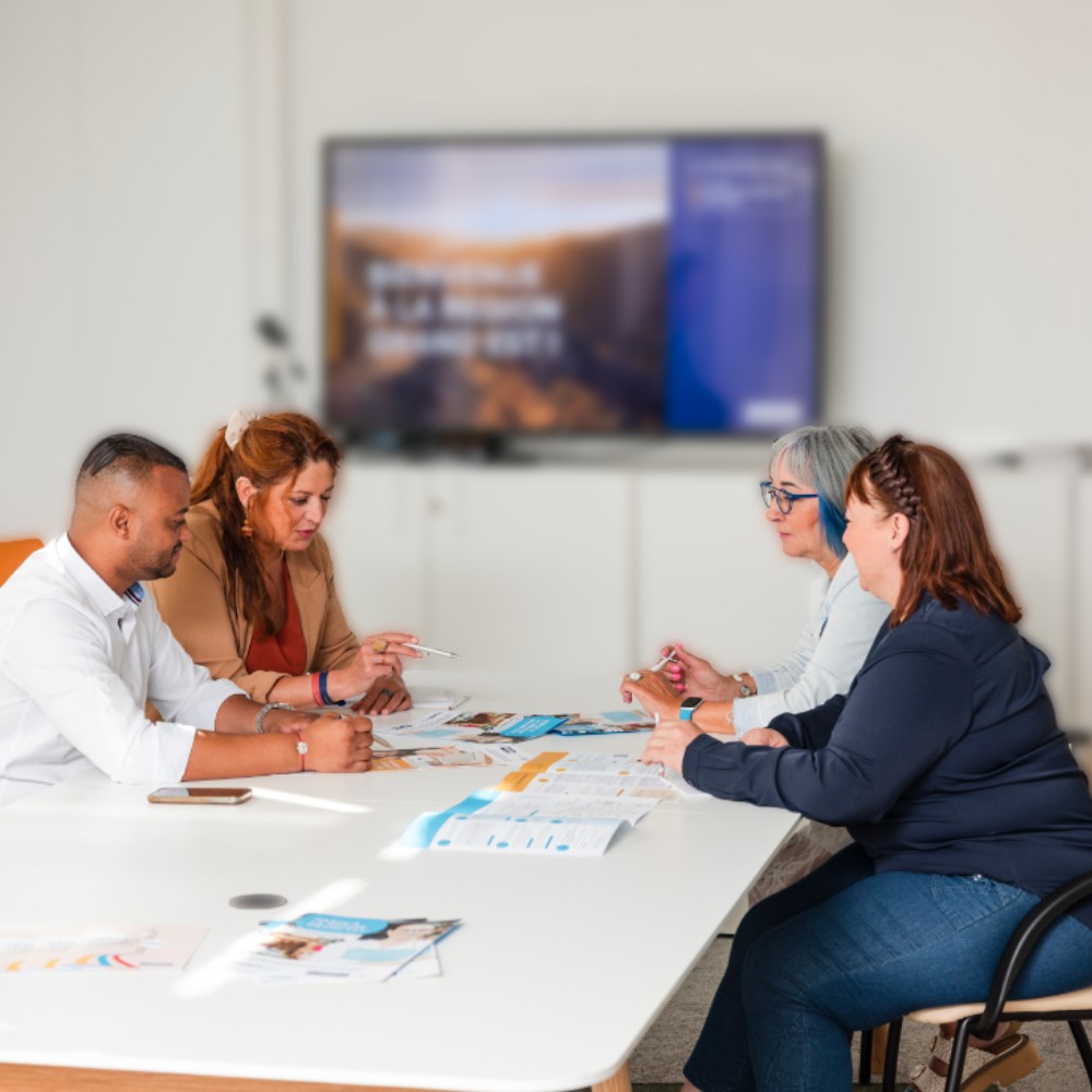 Plaquette pour les professionnels
